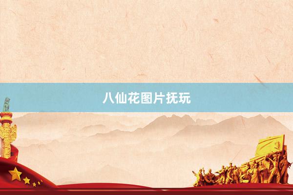 八仙花图片抚玩