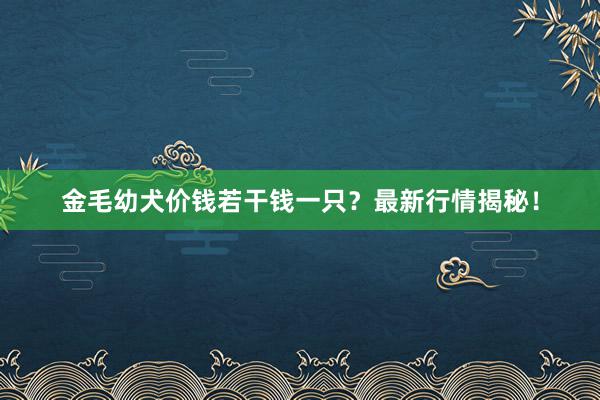 金毛幼犬价钱若干钱一只？最新行情揭秘！