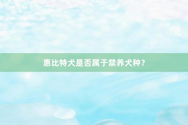 惠比特犬是否属于禁养犬种？