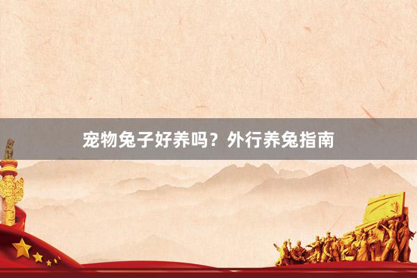 宠物兔子好养吗？外行养兔指南